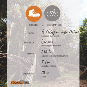 TREKKING OUTDOOR TRENTINO ATTIVITà IL RESPIRO DEGLI ALBERI